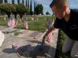 Boy Honors Veterans