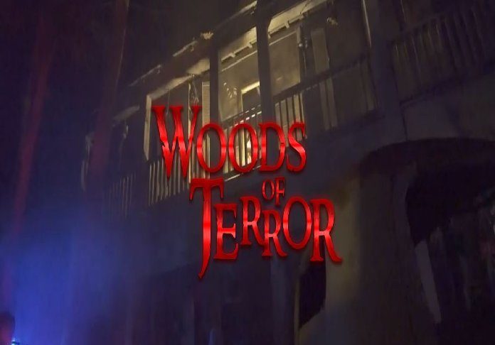 Woods of Terror